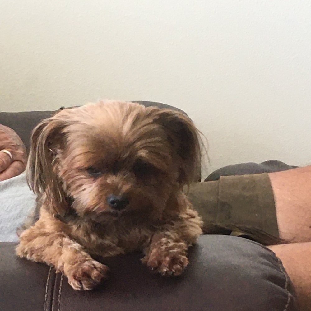 Meet your Posher, Theresa